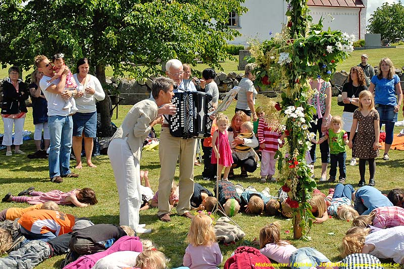 Bj&ouml;rka 17 juni 2009