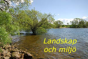 Till bilder på miljö och landskap