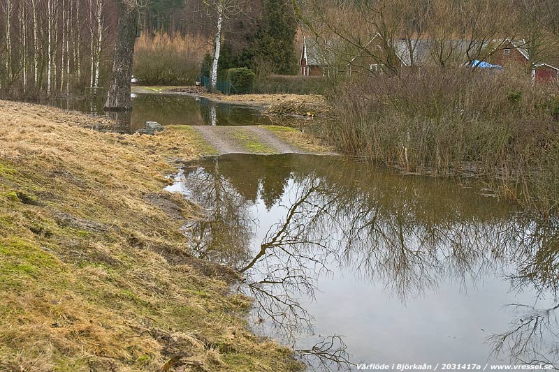 Vårflöde i Björkaån