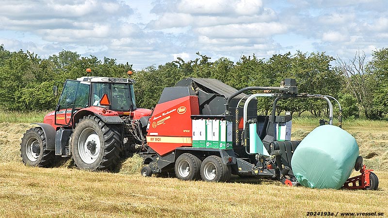 Gr�s konserveras i plastbal.