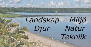 Landskap, djur och natur.