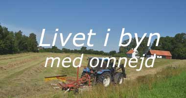 Livet i byn med omnejd.