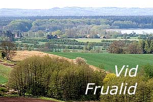 Vid Frualid