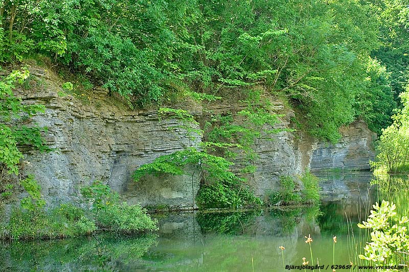 Kalkbrottet vid Bjärsjölagård.