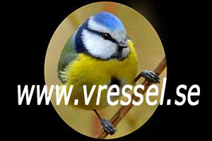 www.vressel.se