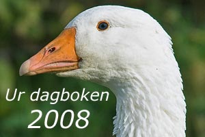 2008