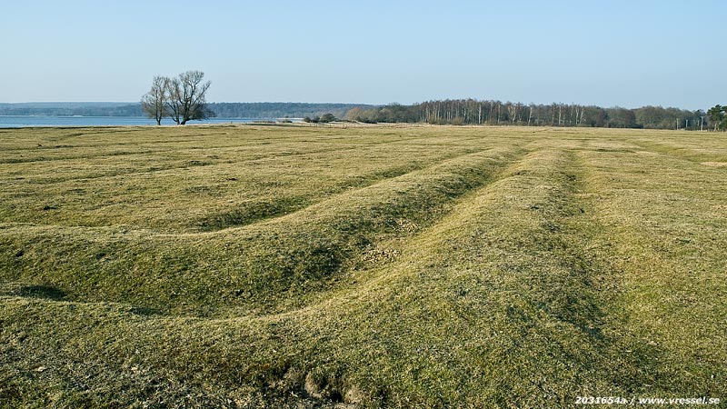 En äng vid Vombsjön.
