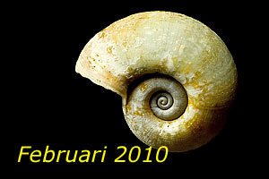 Februari 2010