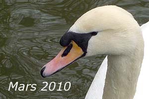 Mars 2010