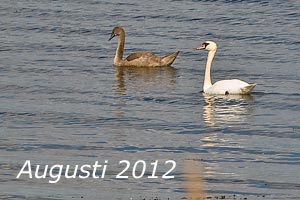 Augusti 2012