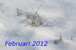 Februari 2012