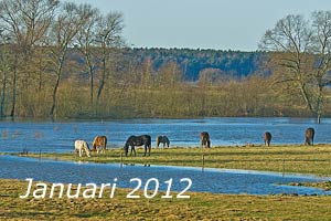 Januari 2012