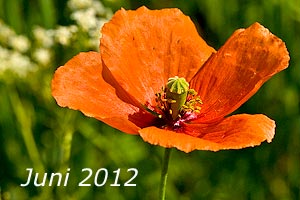 Juni 2012