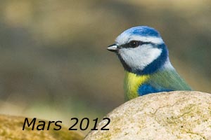 Mars 2012