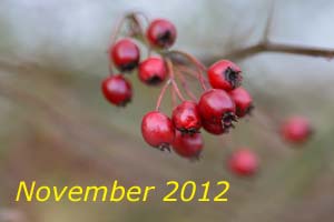 November 2012