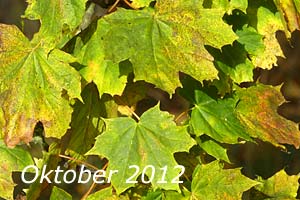 Oktober 2012