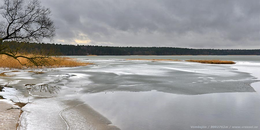Vassholme i Vombsjön.