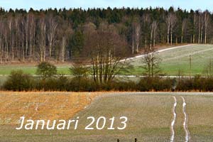 Januari 2013