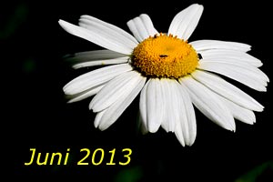 Juni 2013