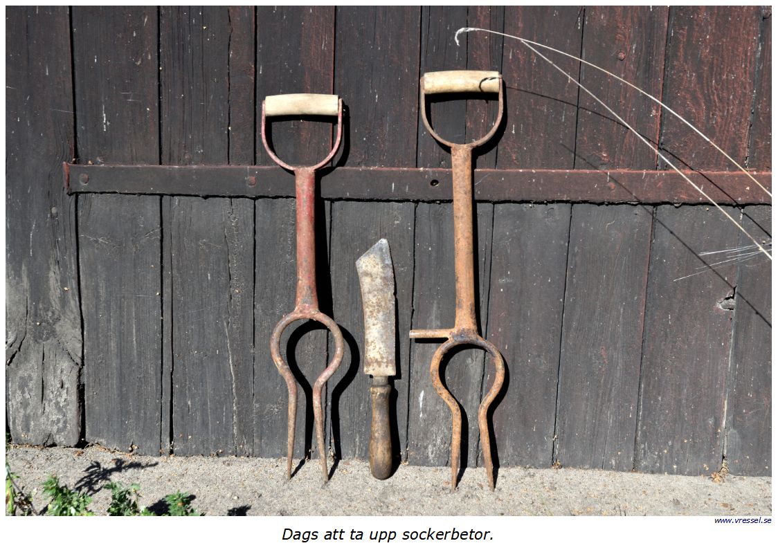 En bild fr�n Vressel.