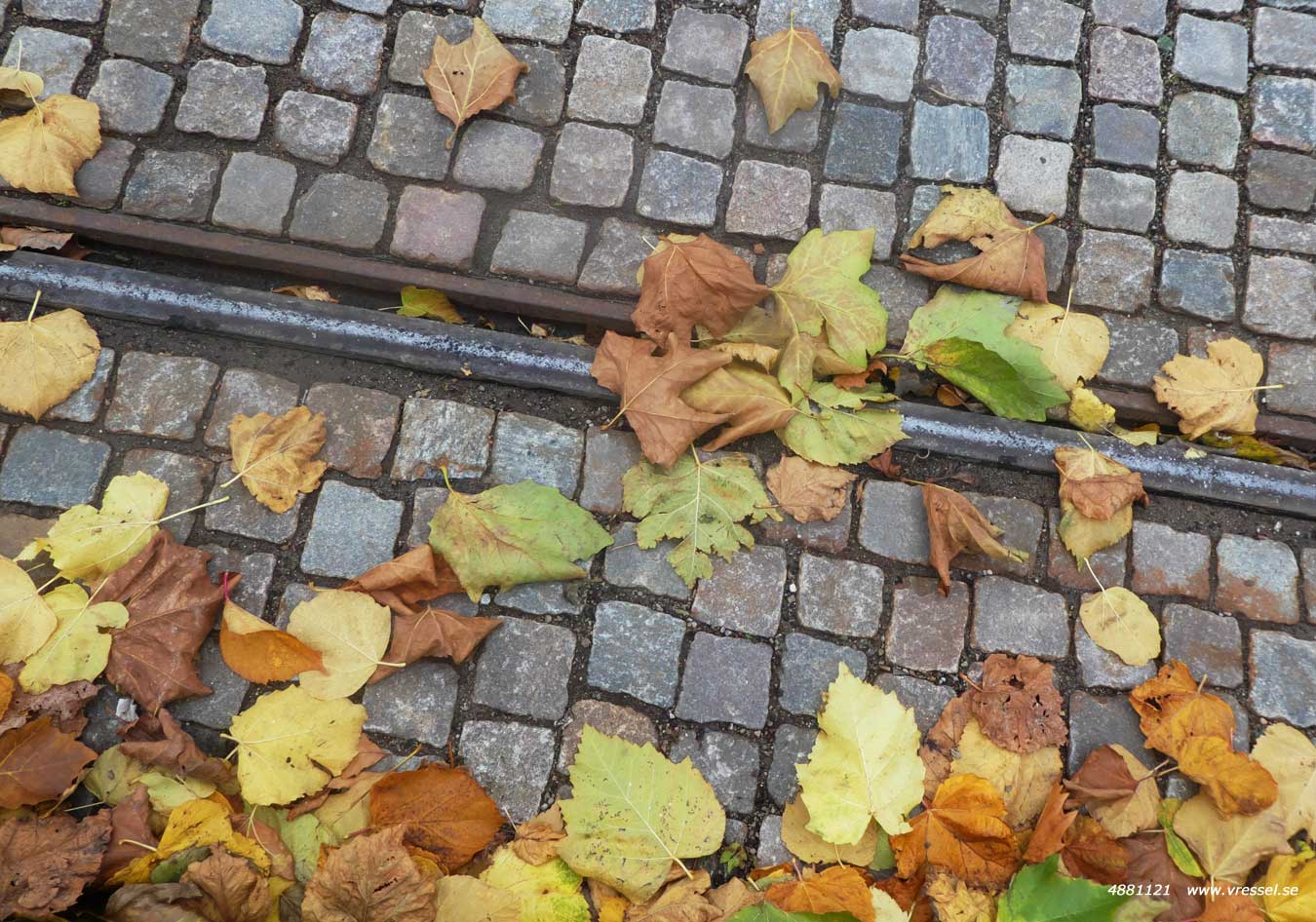 Höst i spårvägsstaden Lund.