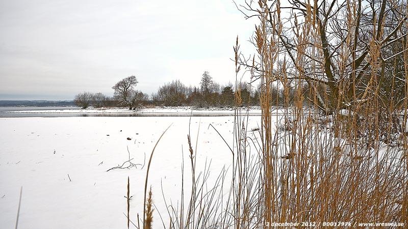 3 december 2012
