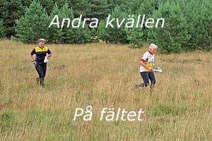 10 juli