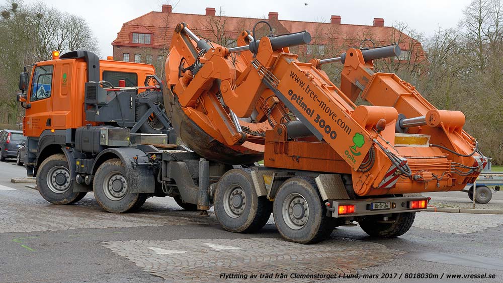 Flyttning av tr�d fr�n Clemenstorget i Lund.